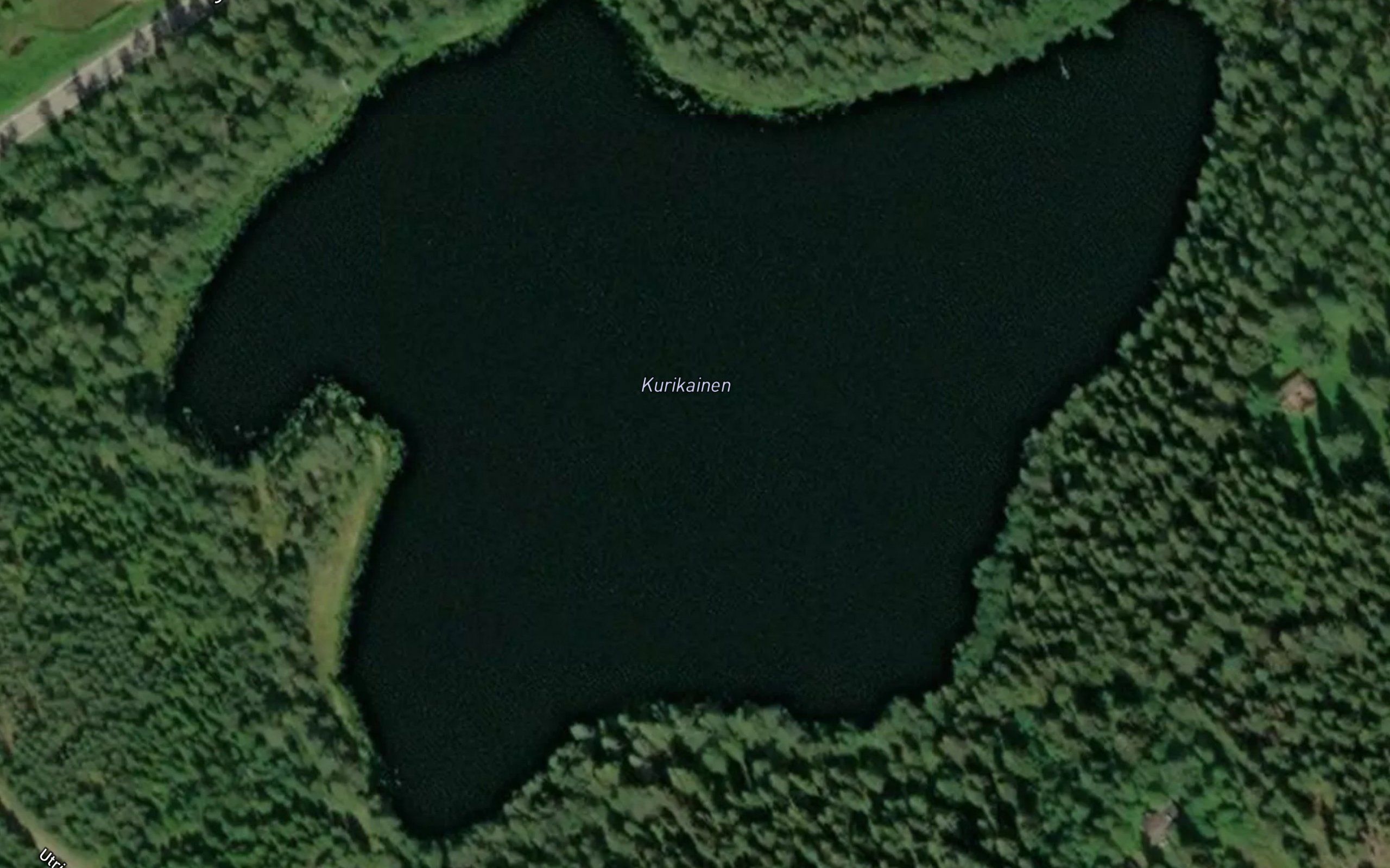 Kurikainen