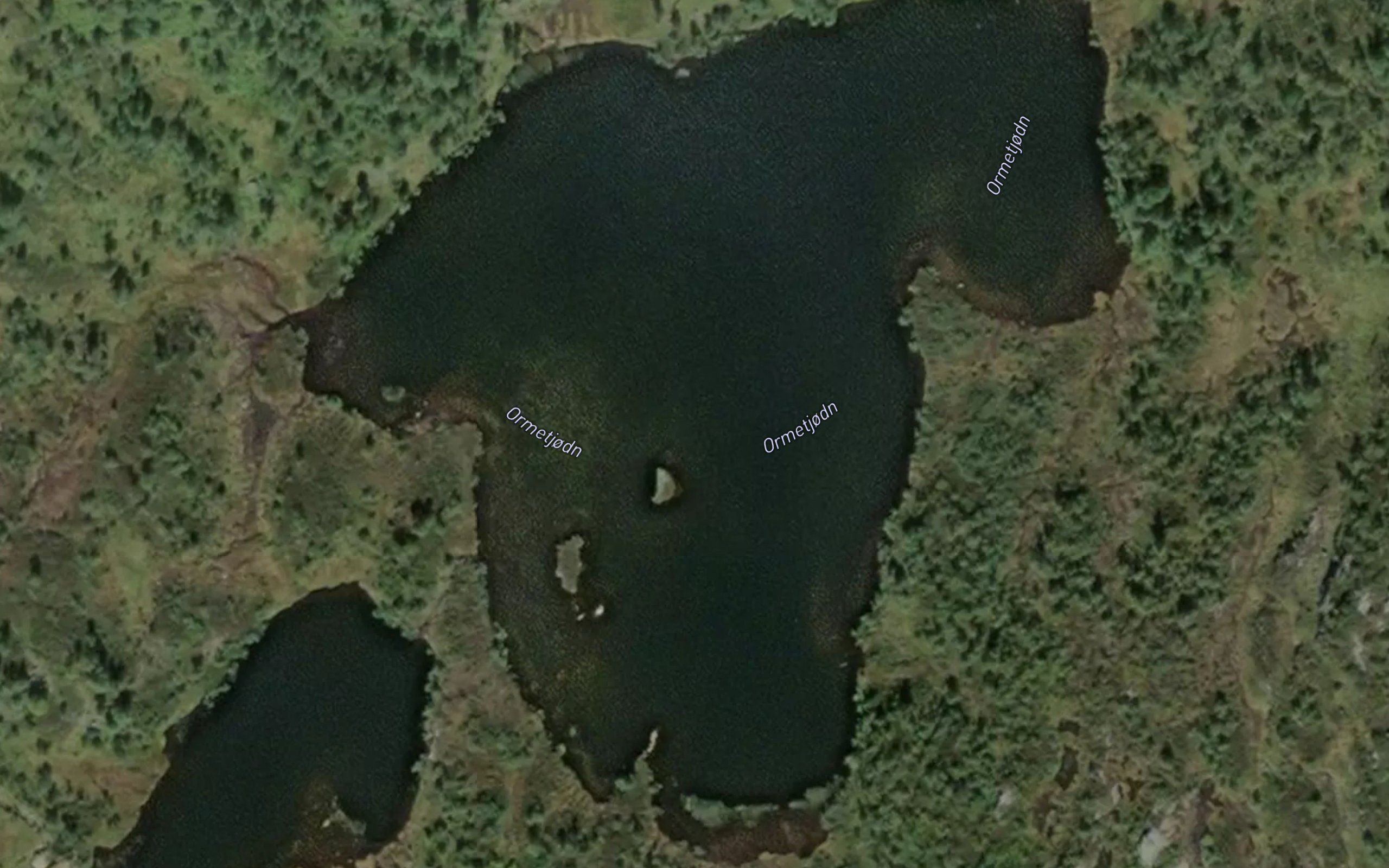 Ormetjorni