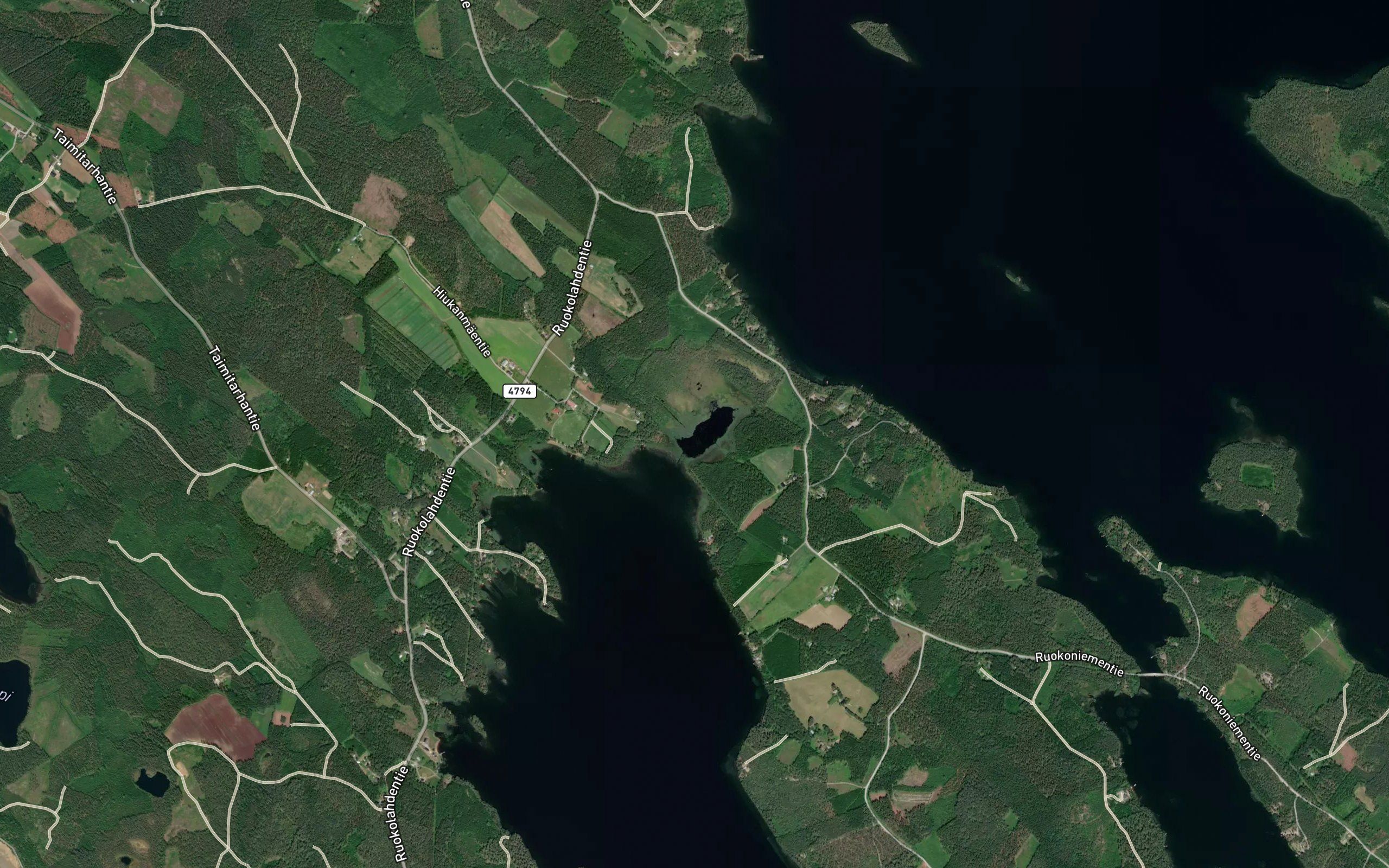 Kangasjoki