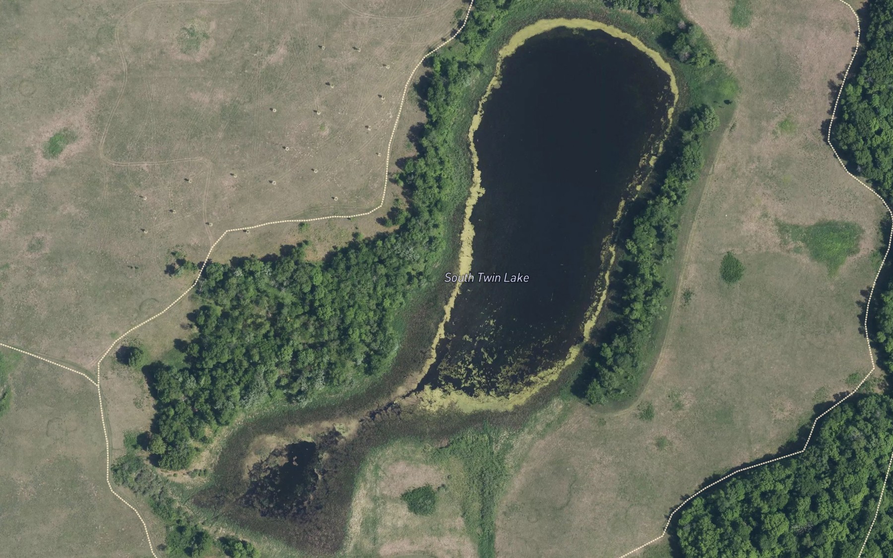 Satellite map of the Twin Lake
