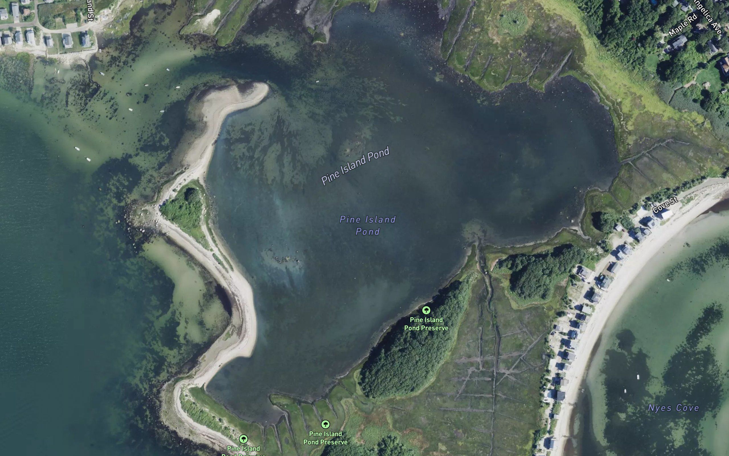 Pine Island Pond