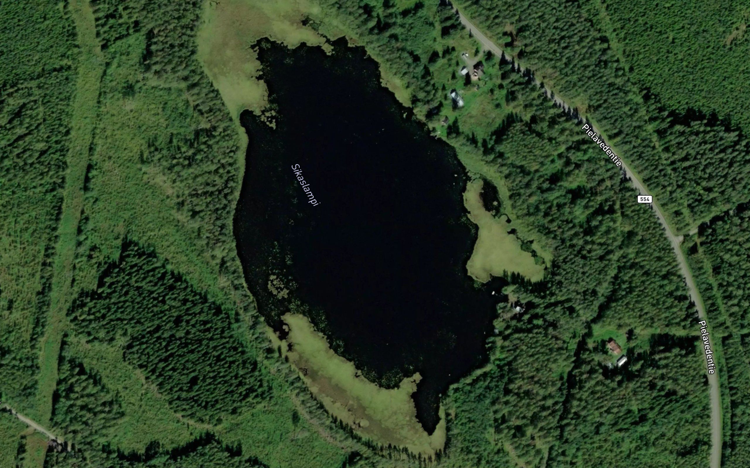 Sikaslampi