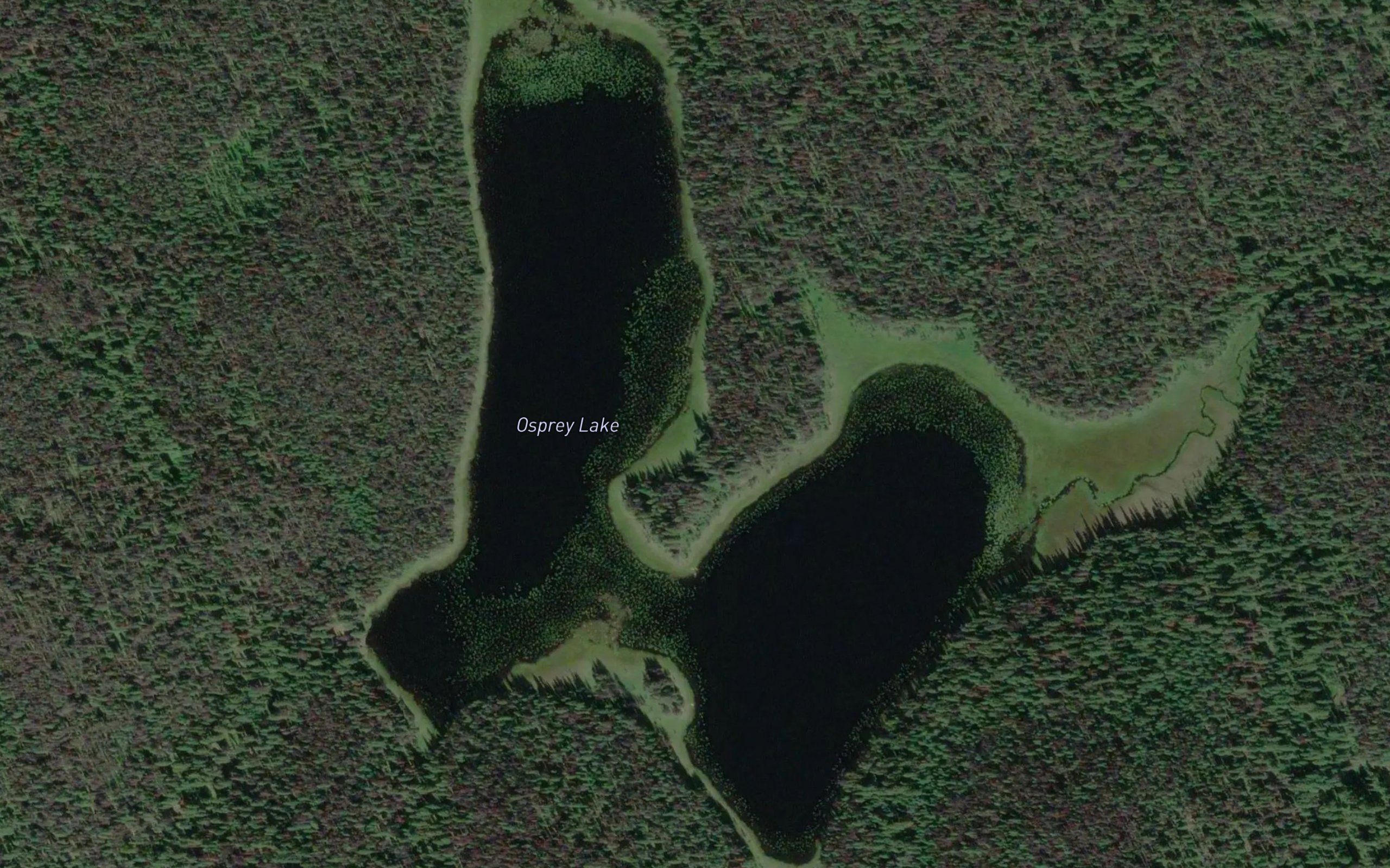 Osprey Lake