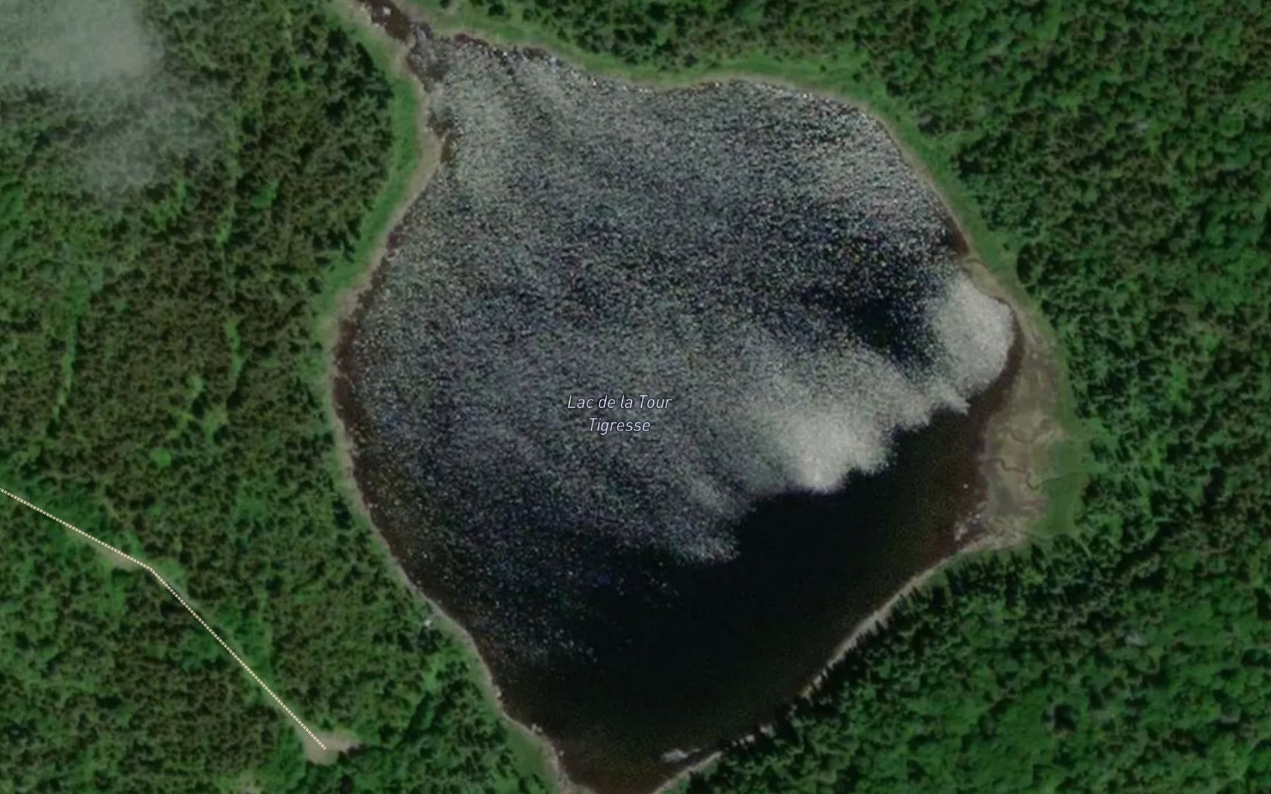 Satellite map of the Lac de la Tour Tigresse