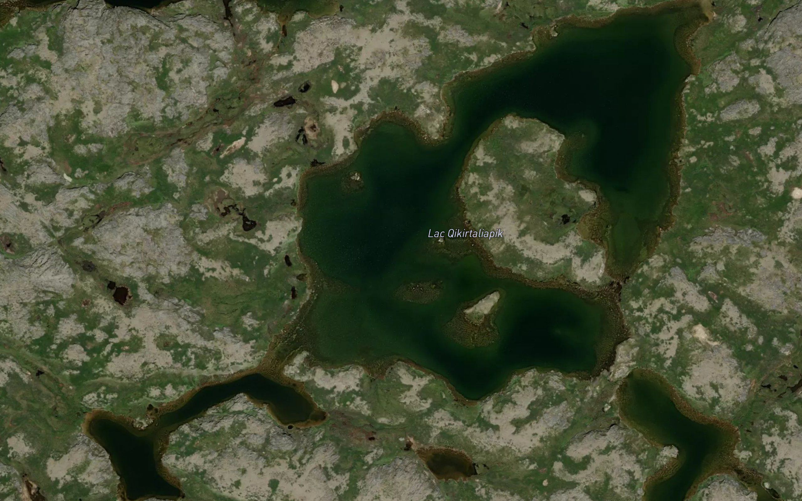 Lac Qikirtaliapik