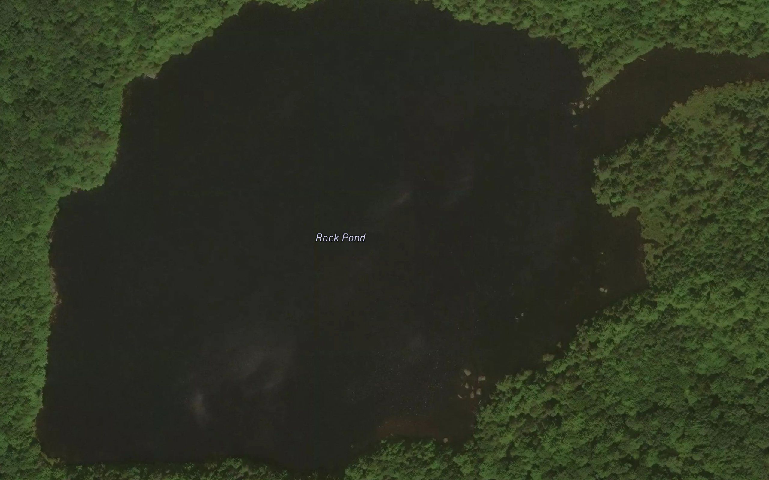 Rock Pond