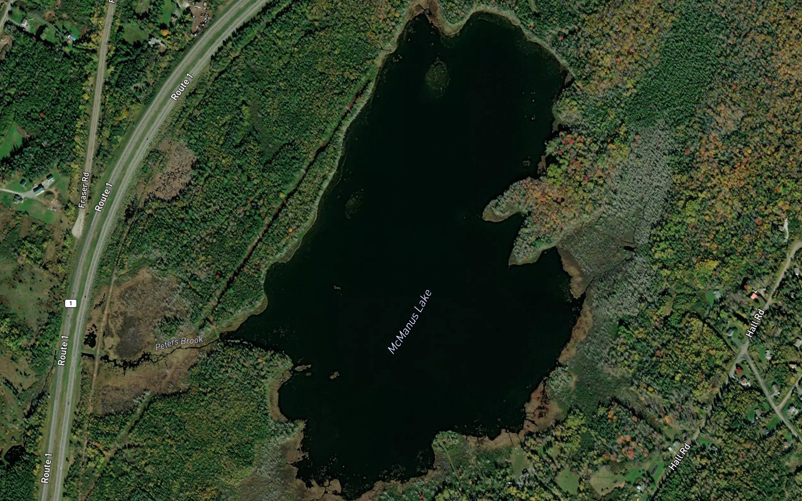 McManus Lake