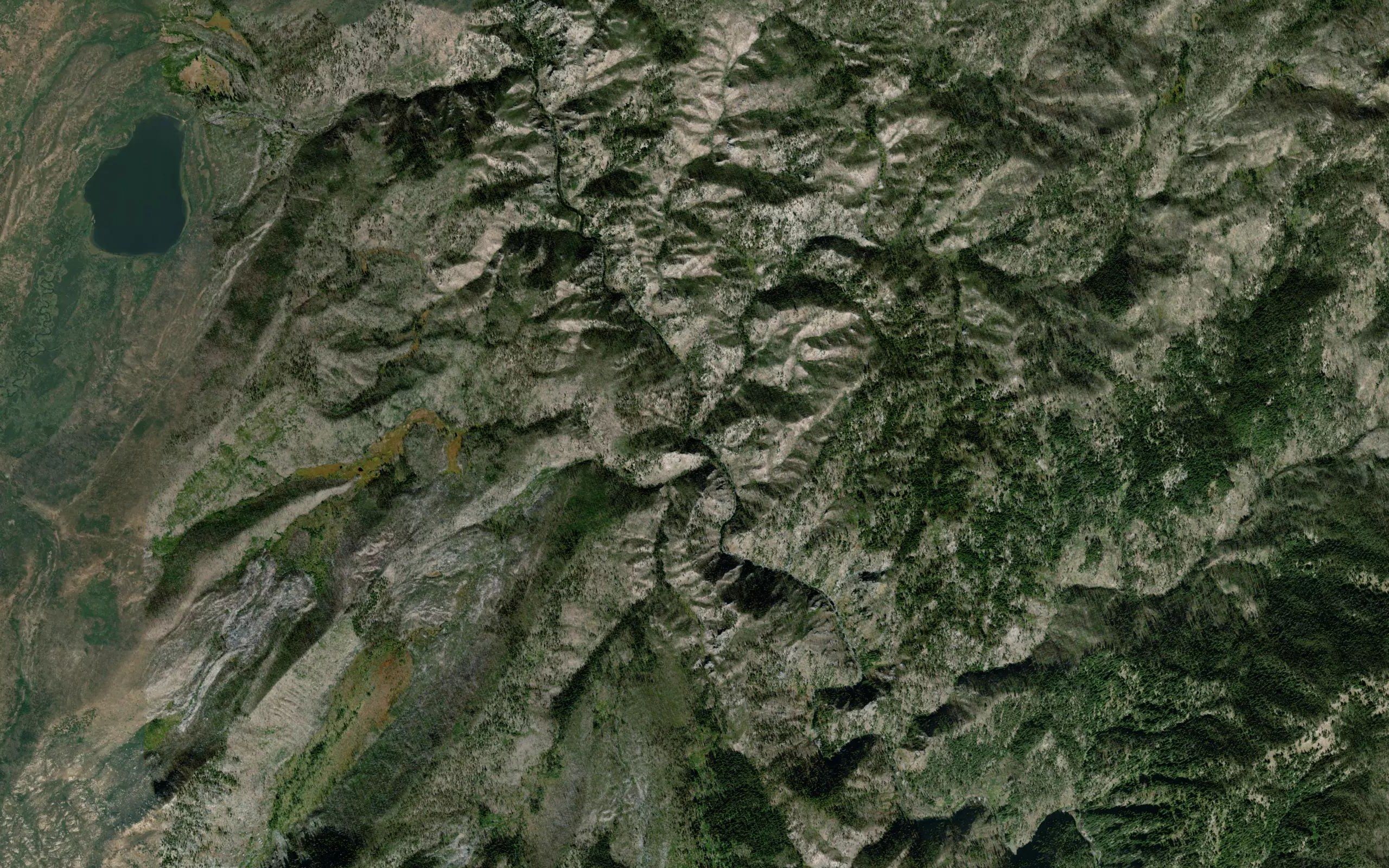 Whangdoodle Creek