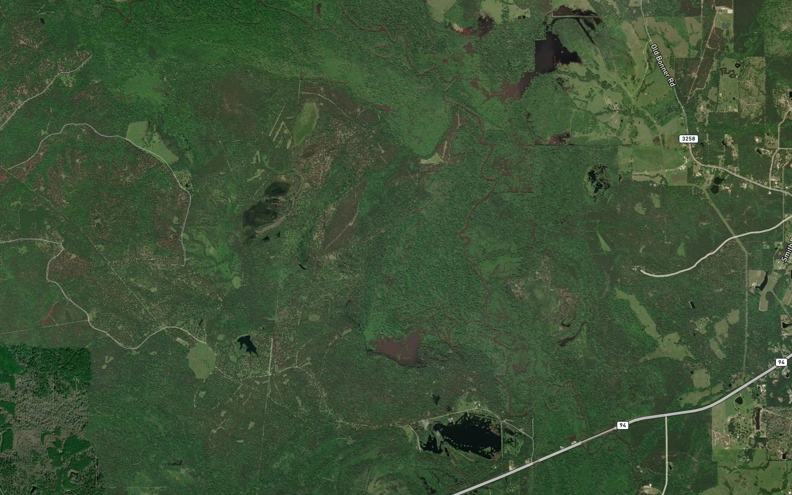 Boggy Slough