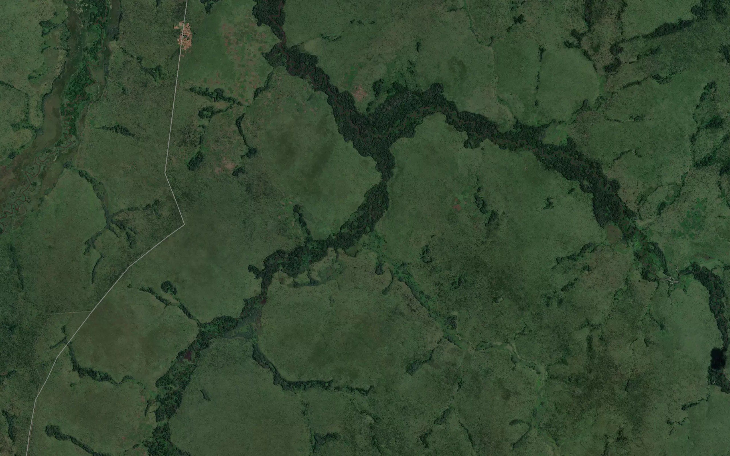 Mudagweshi
