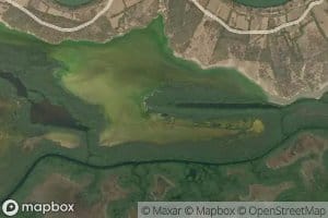 Brazo de Juan Guerra