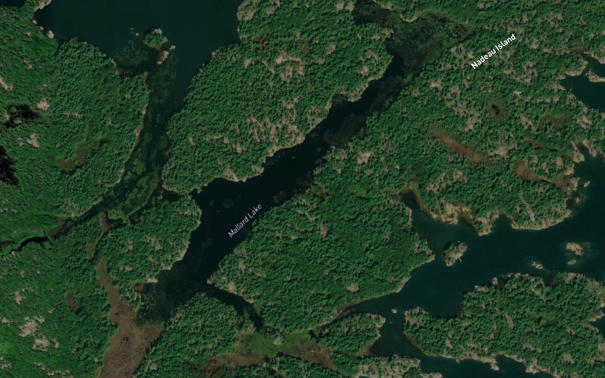 Mallard Lake