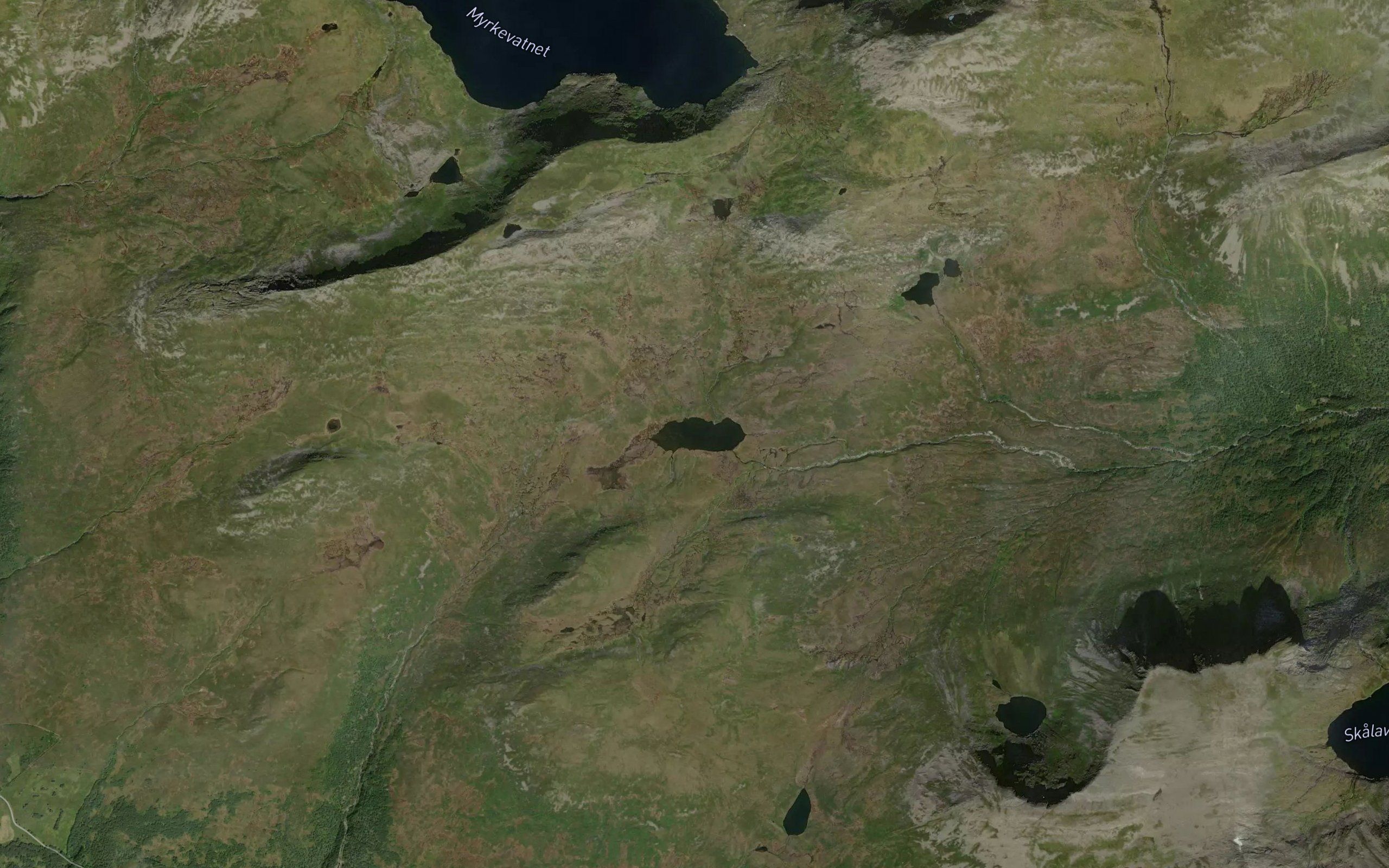 Vikevatnet