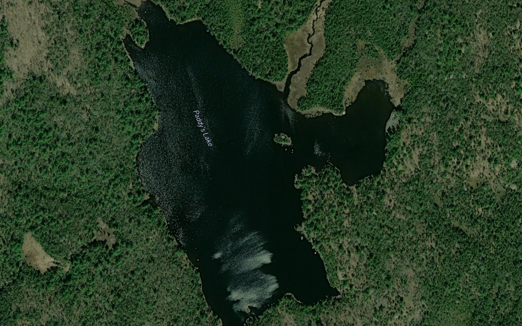 Satellite map of the Paddy's Lake