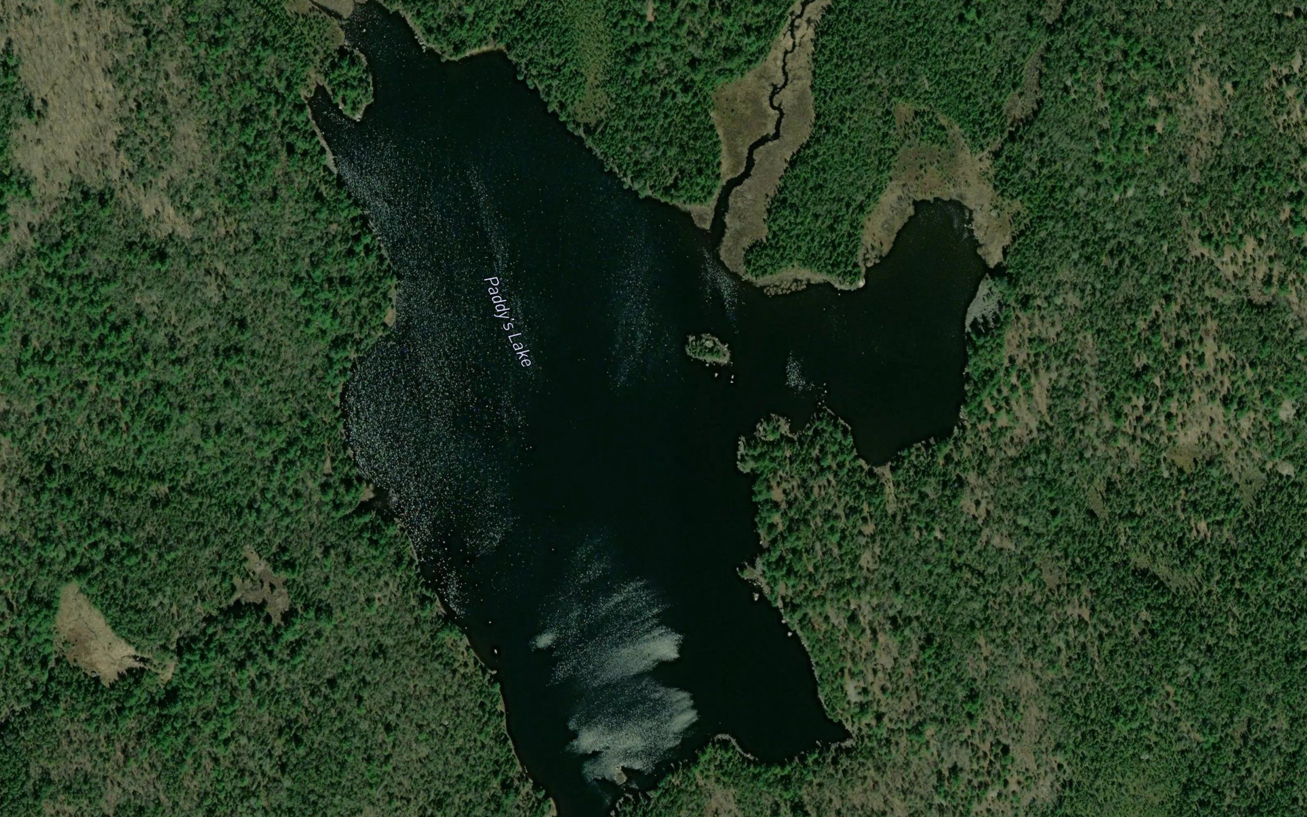 Paddy's Lake