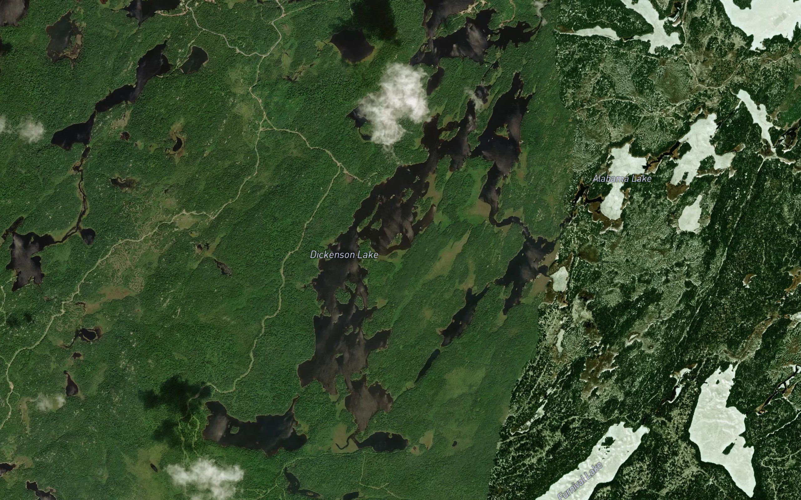 Dickenson Lake