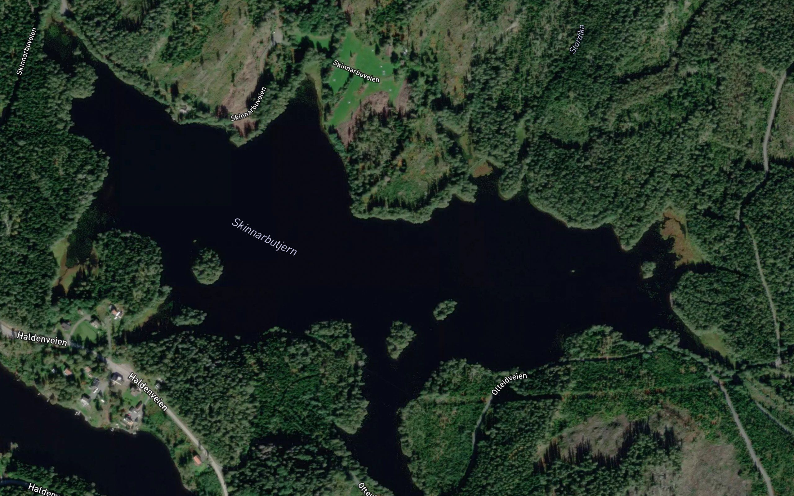 Skinnarbutjern