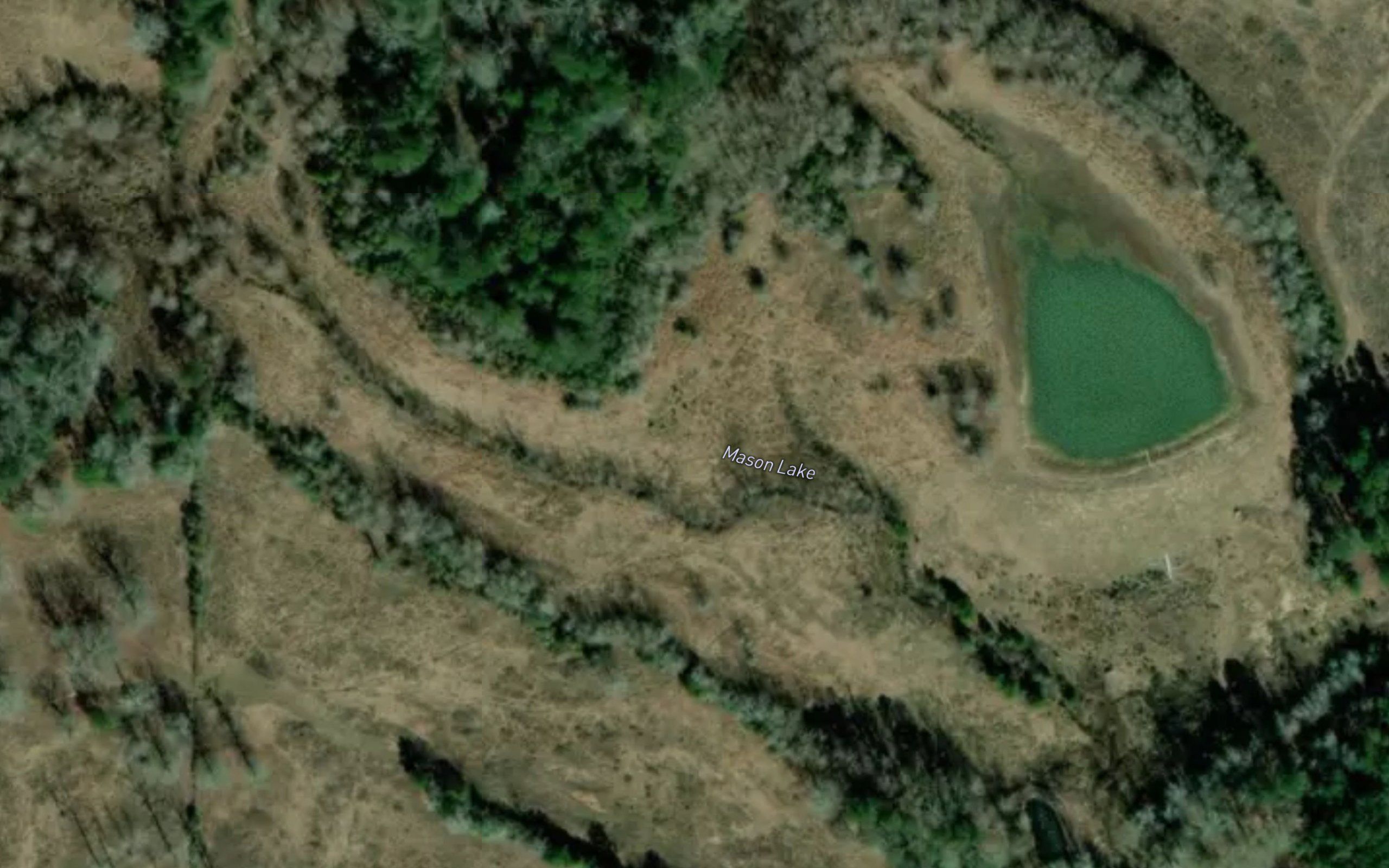 Mason Lake