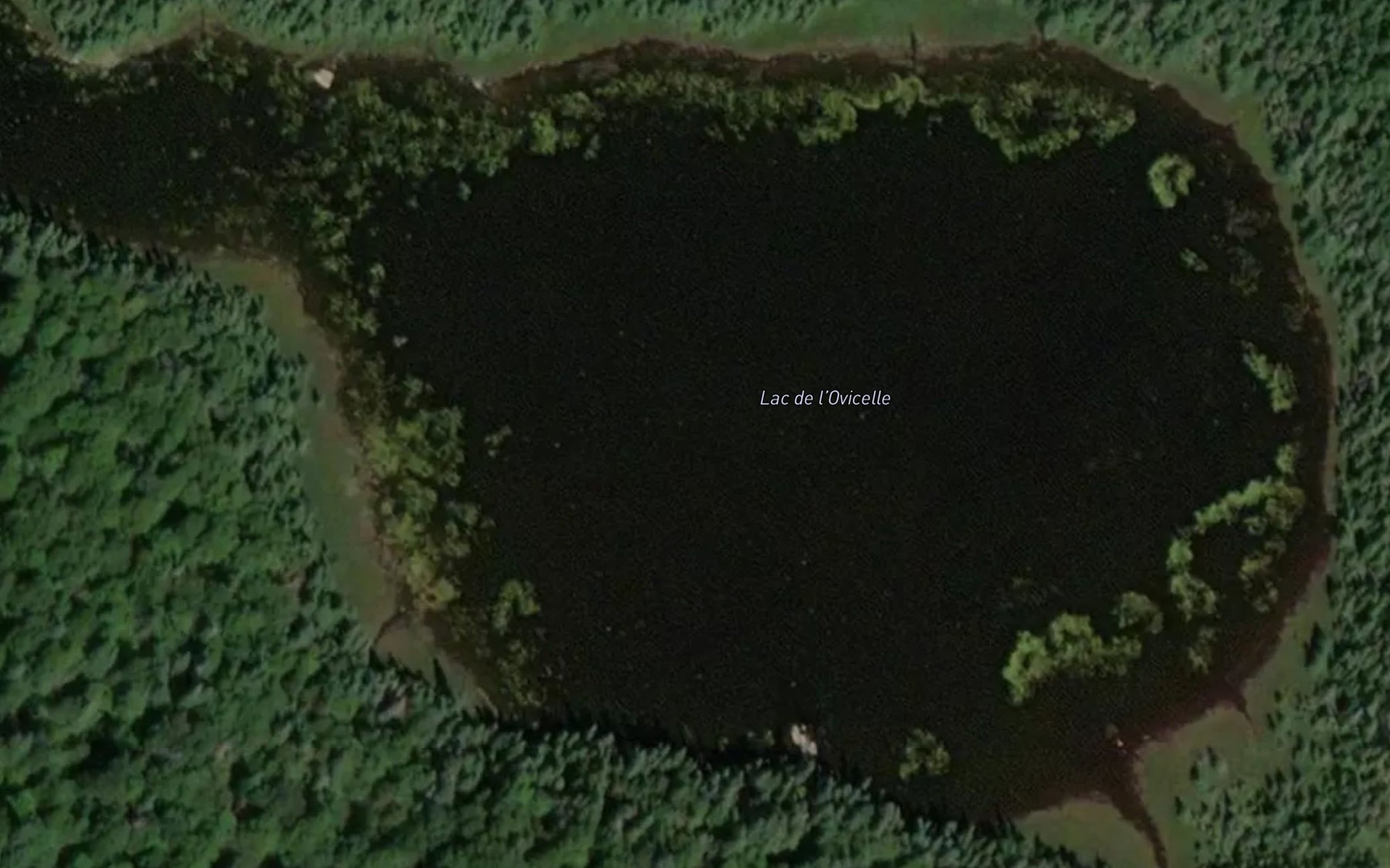 Satellite map of the Lac de l'Ovicelle