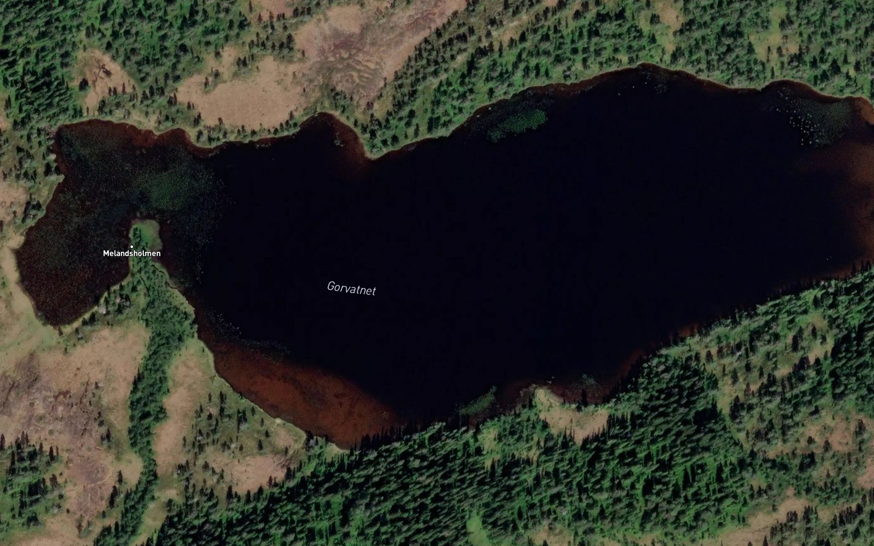 Satellite map of the Gorvatnet