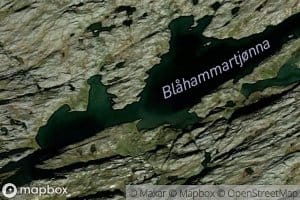 Blahammartjonna