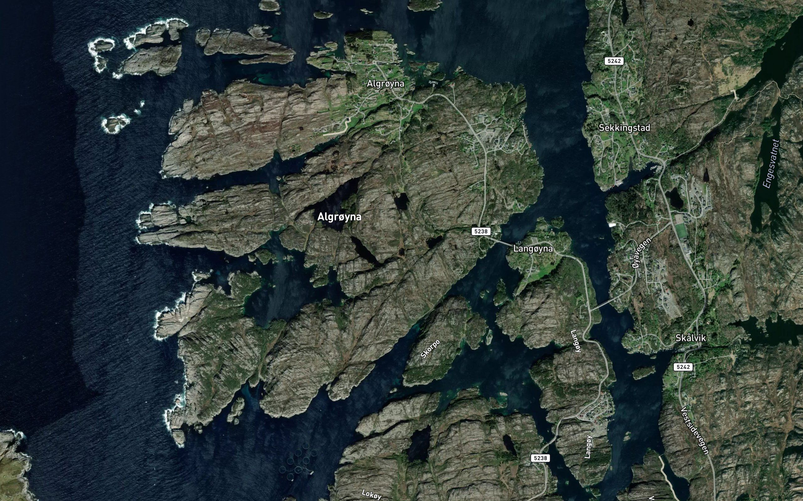 Maratjorna
