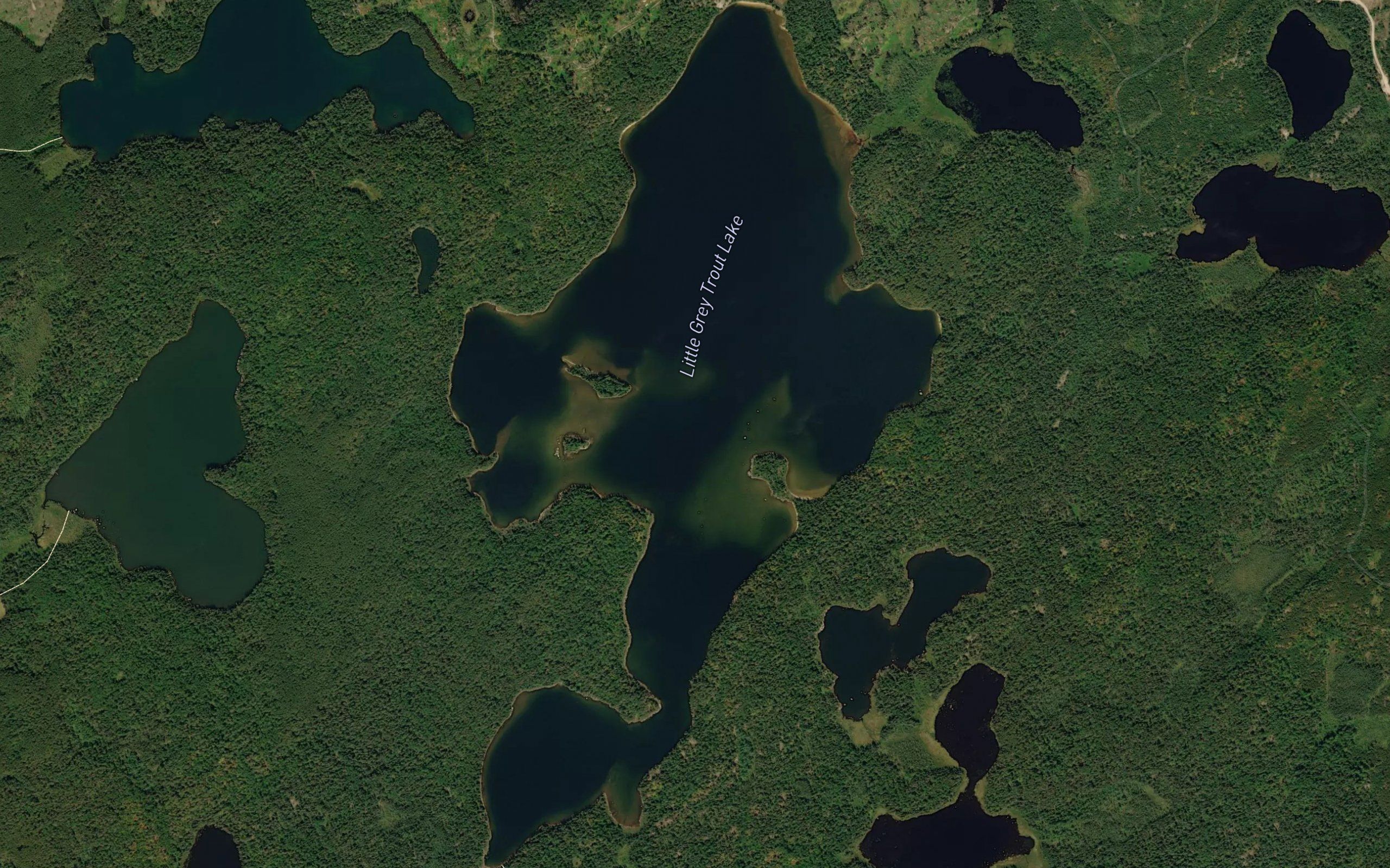 Little Grey Trout Lake