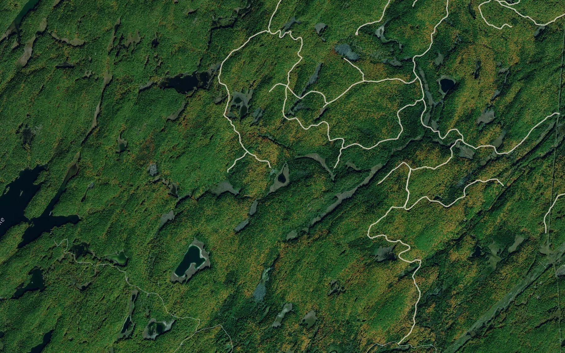 Satellite map of the Chathams Lake