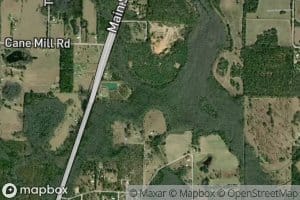 Reedy Creek
