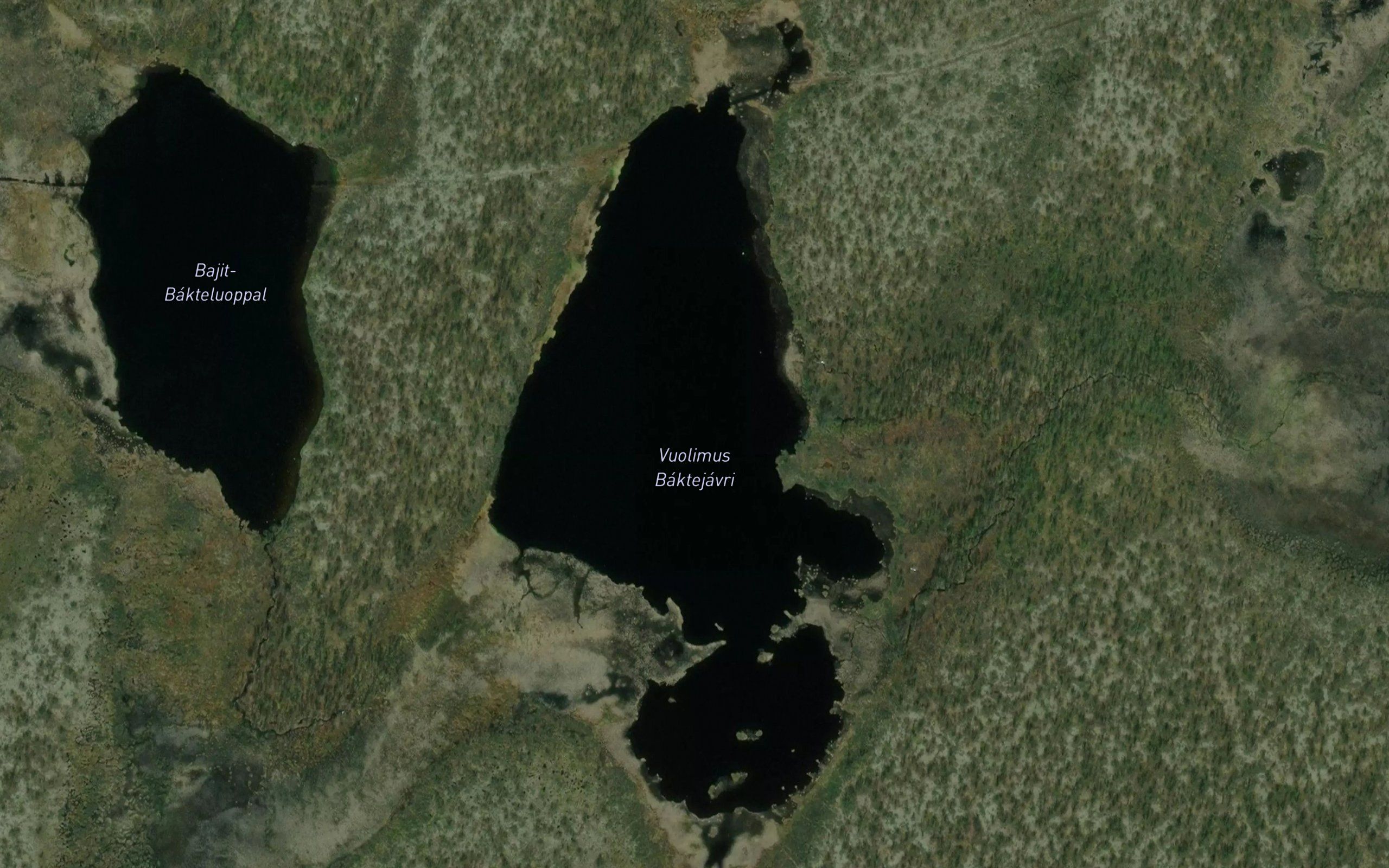 Vuolimus Baktejavri