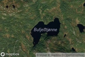 Bufjelltjonn
