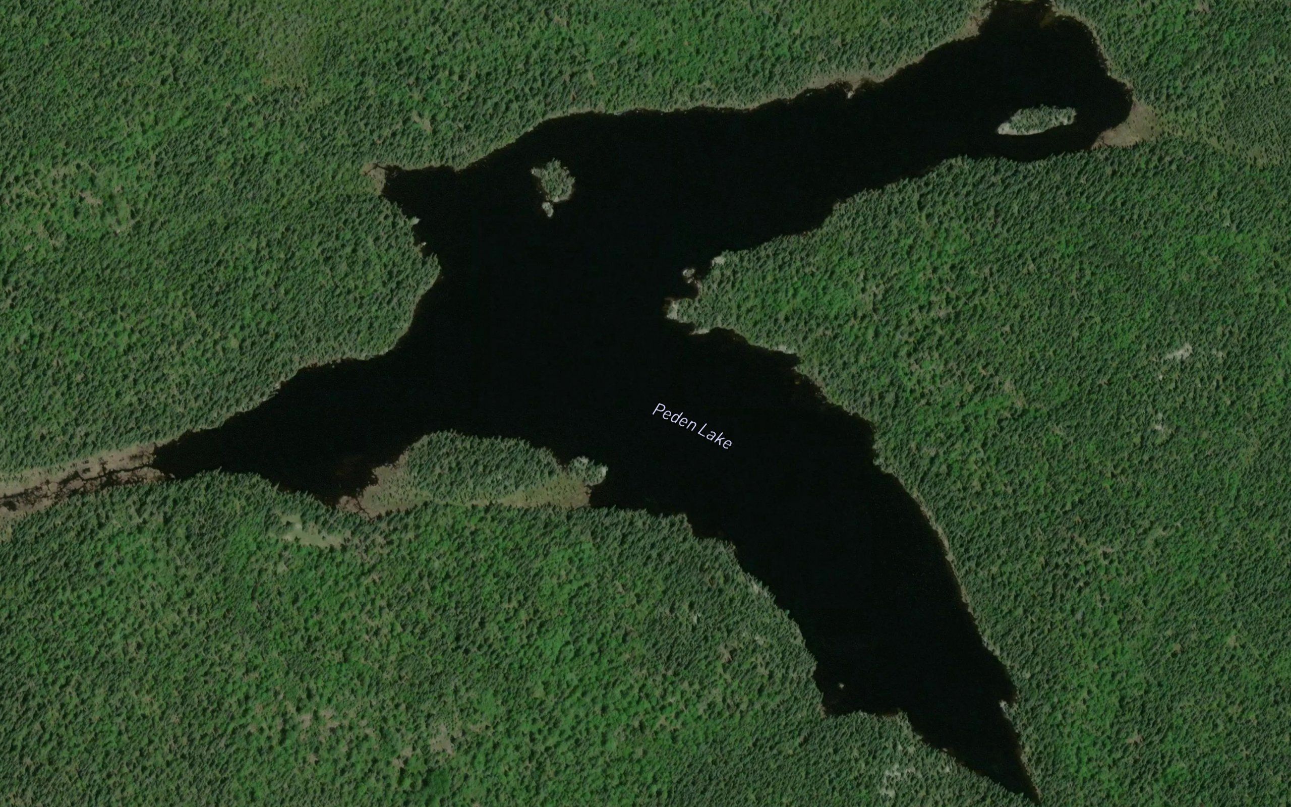 Peden Lake