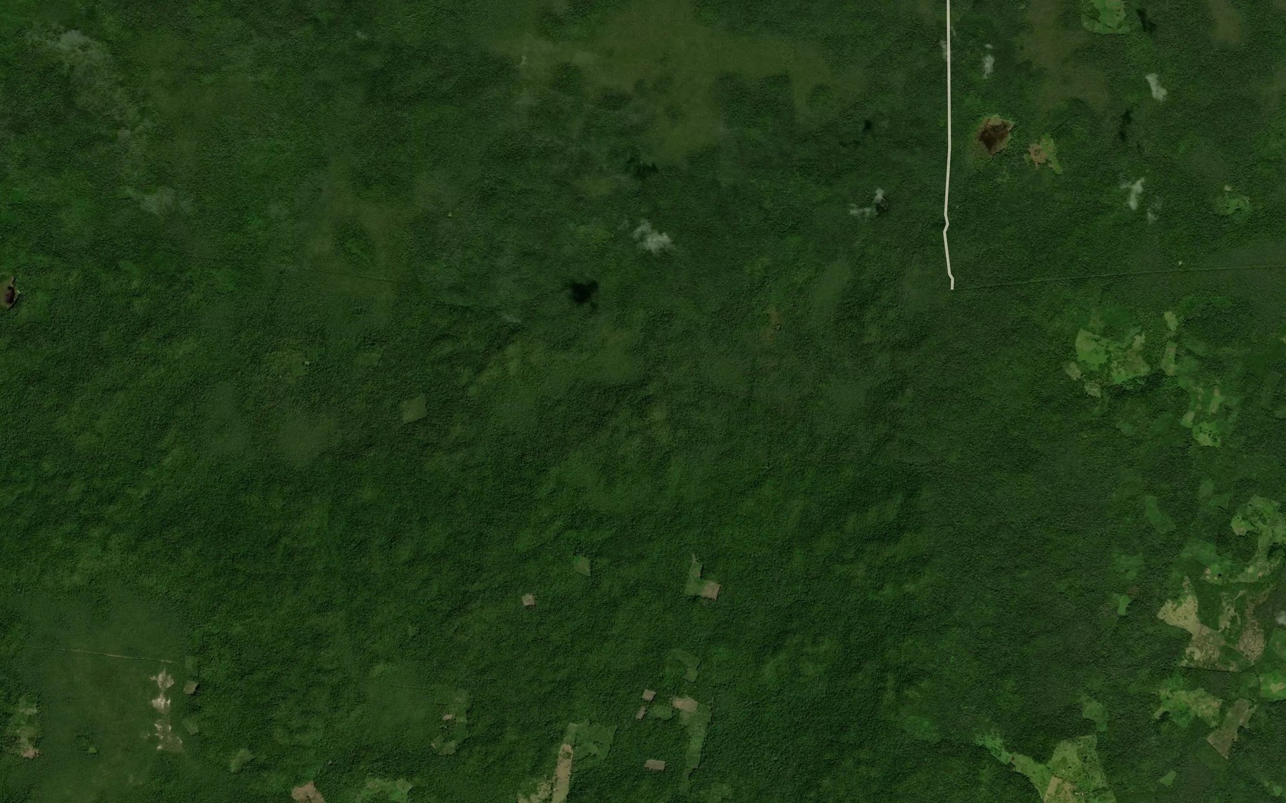 Satellite map of the Aguada Carolina