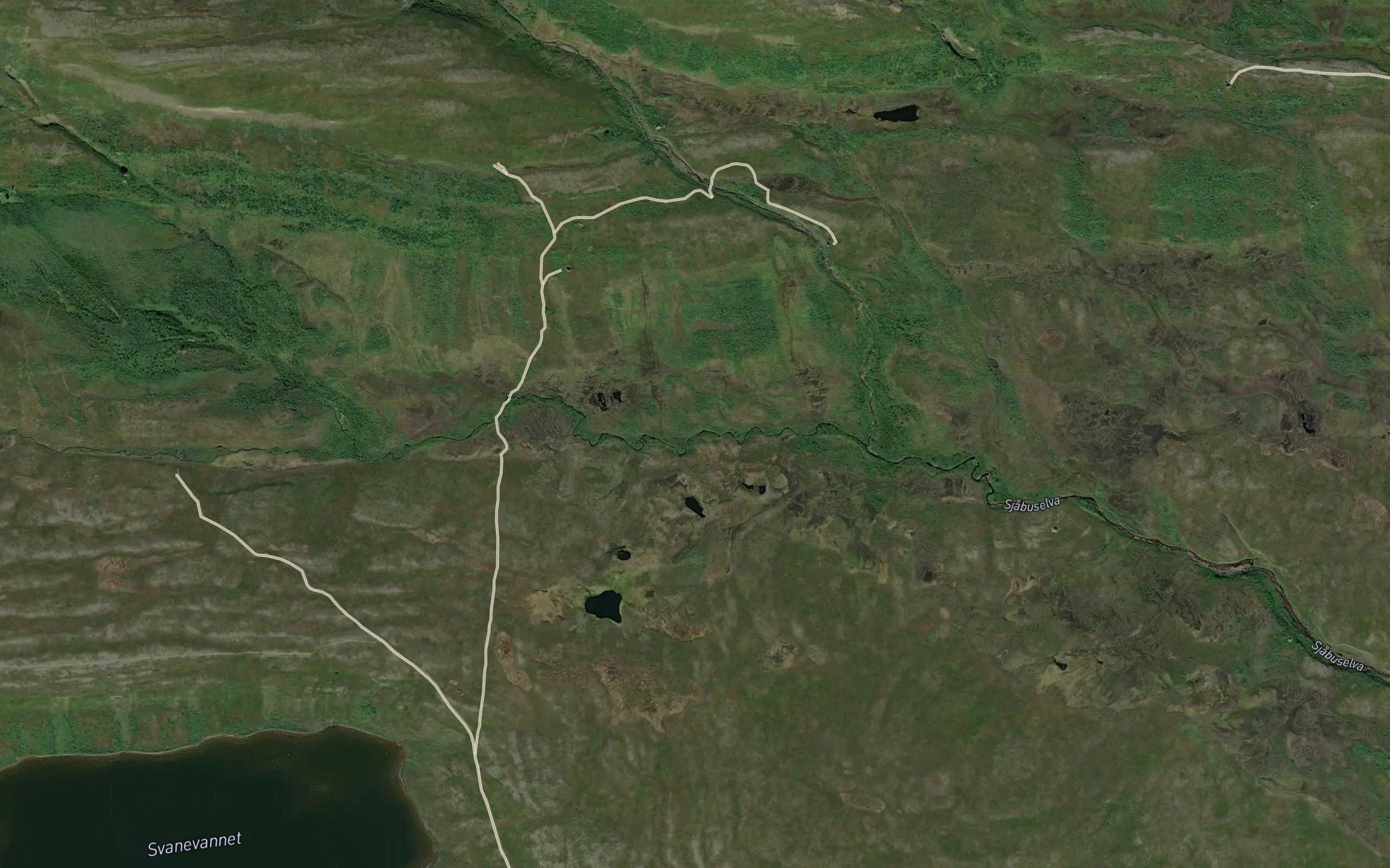Vinikabekken
