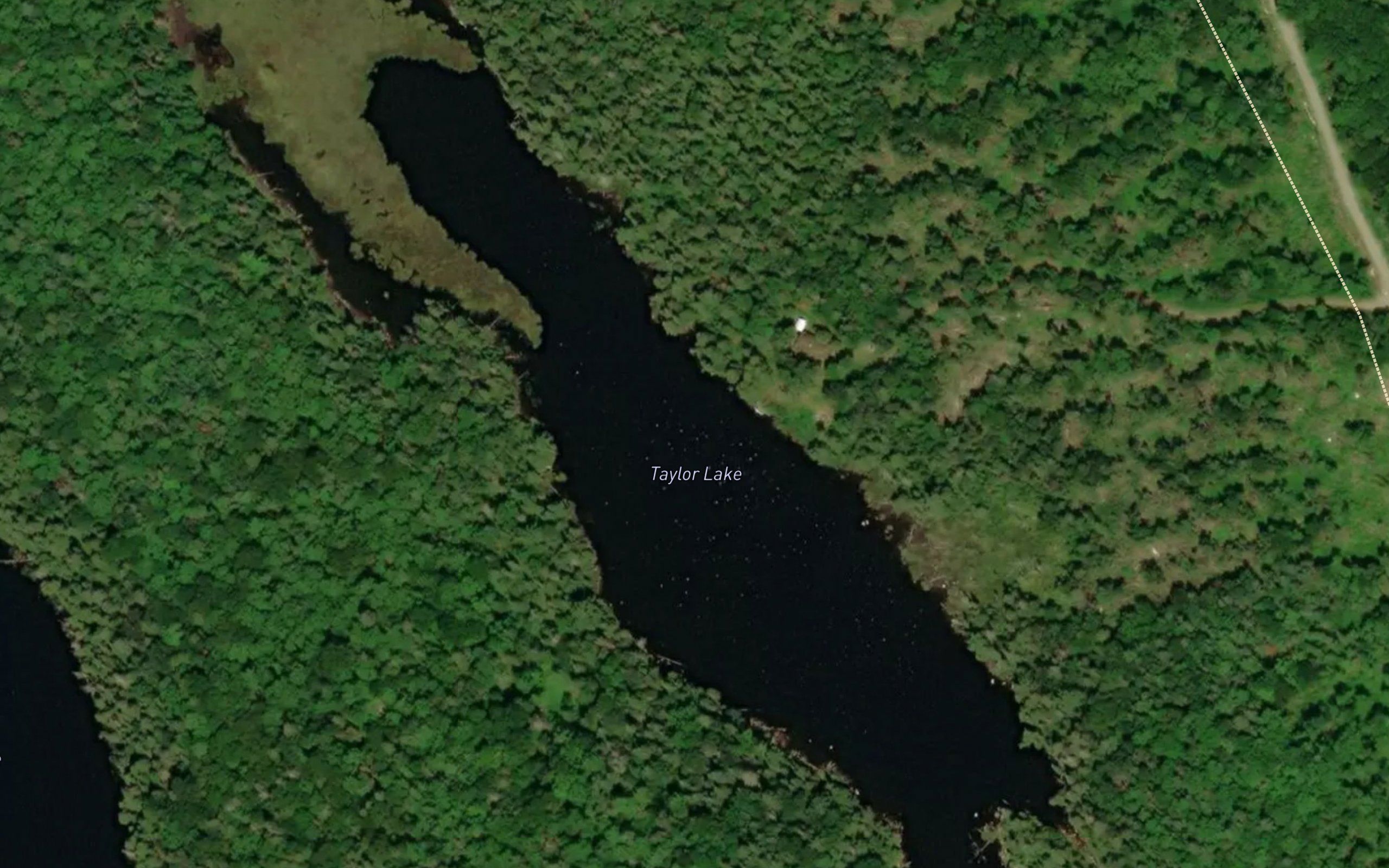 Taylor Lake