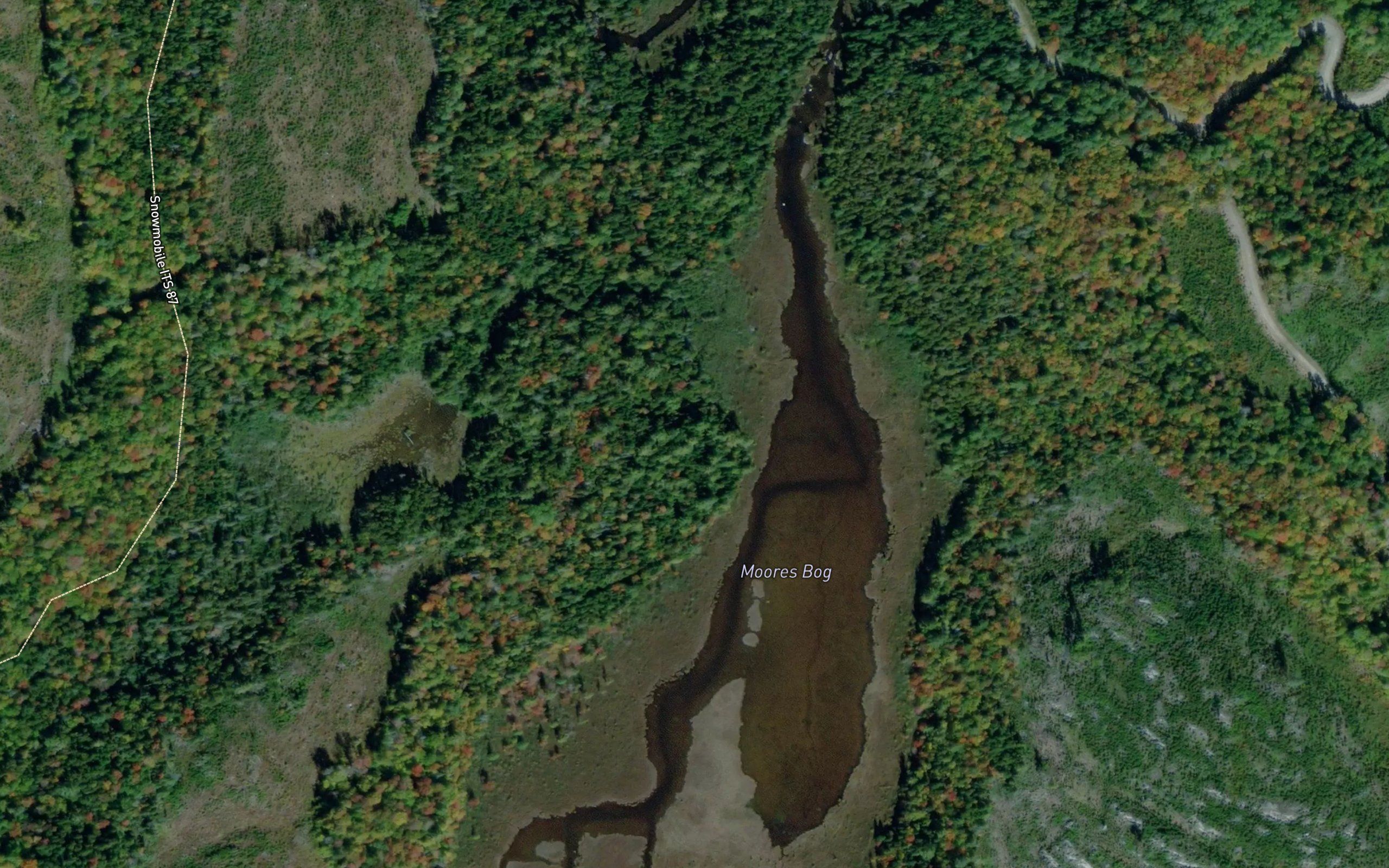Moores Bog