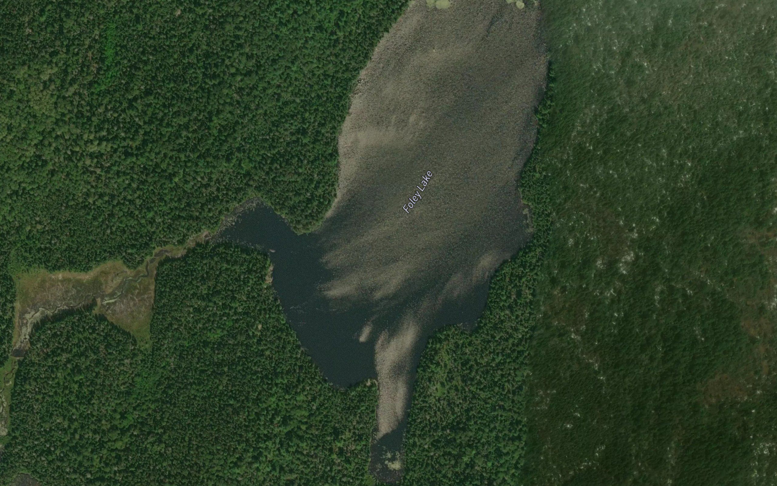 Foley Lake
