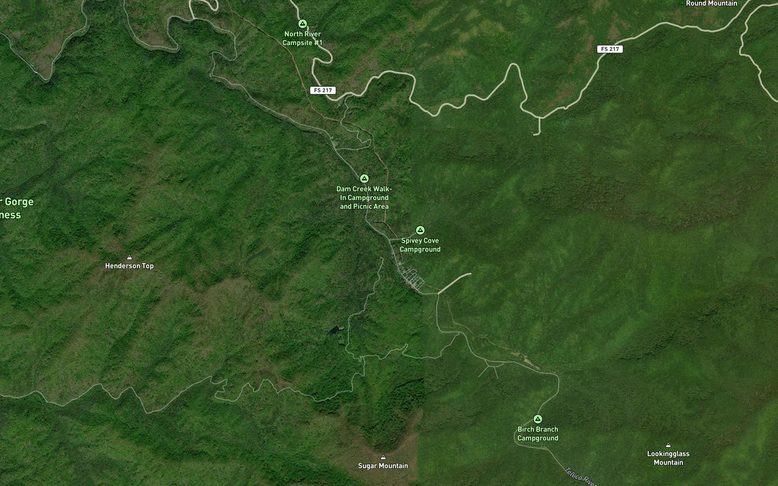 Spivey Creek