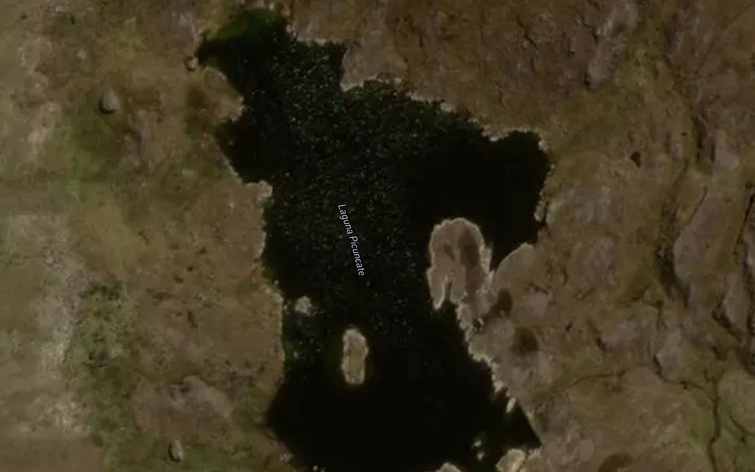 Laguna Picuncate