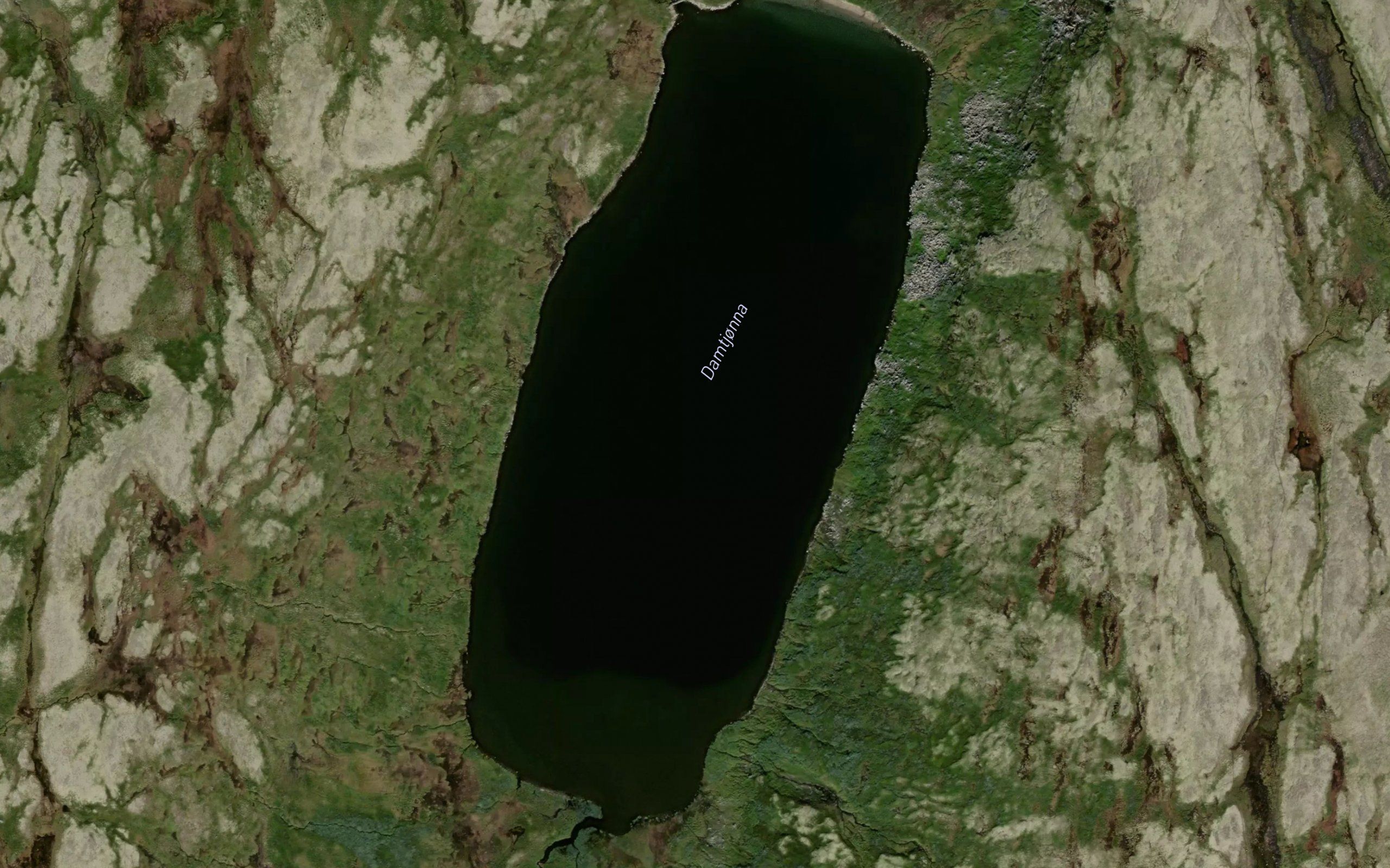 Damtjonna