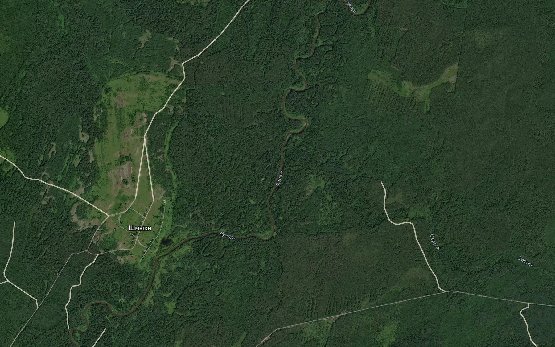 Satellite map of the Syursyuk