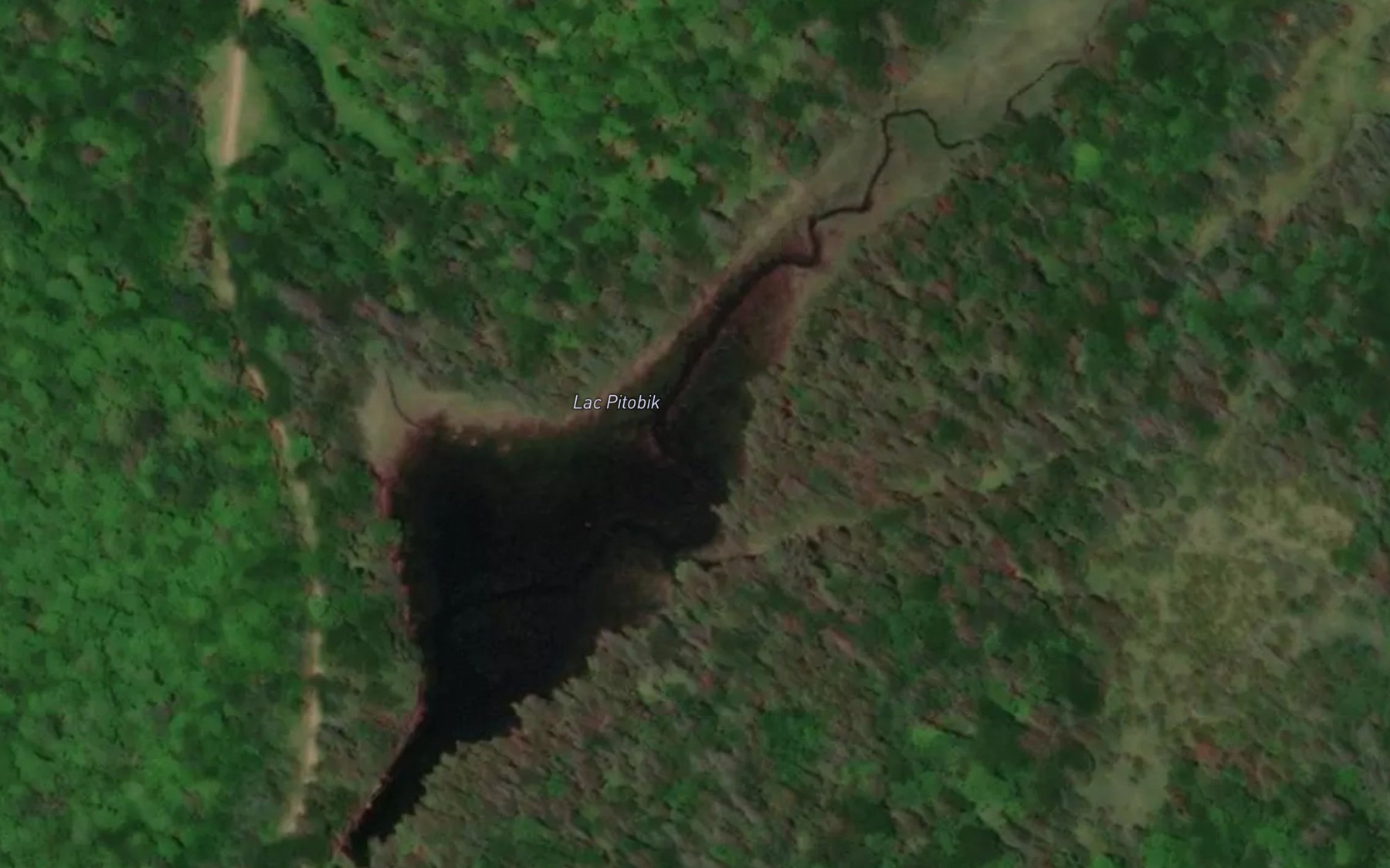 Satellite map of the Lac Pitobik