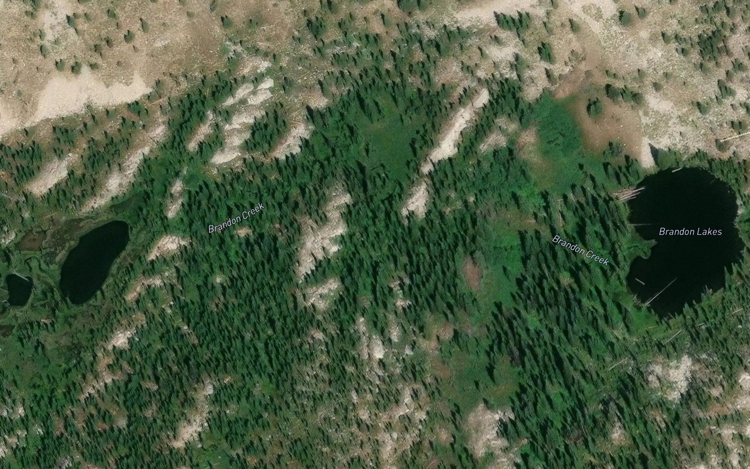 Brandon Lakes