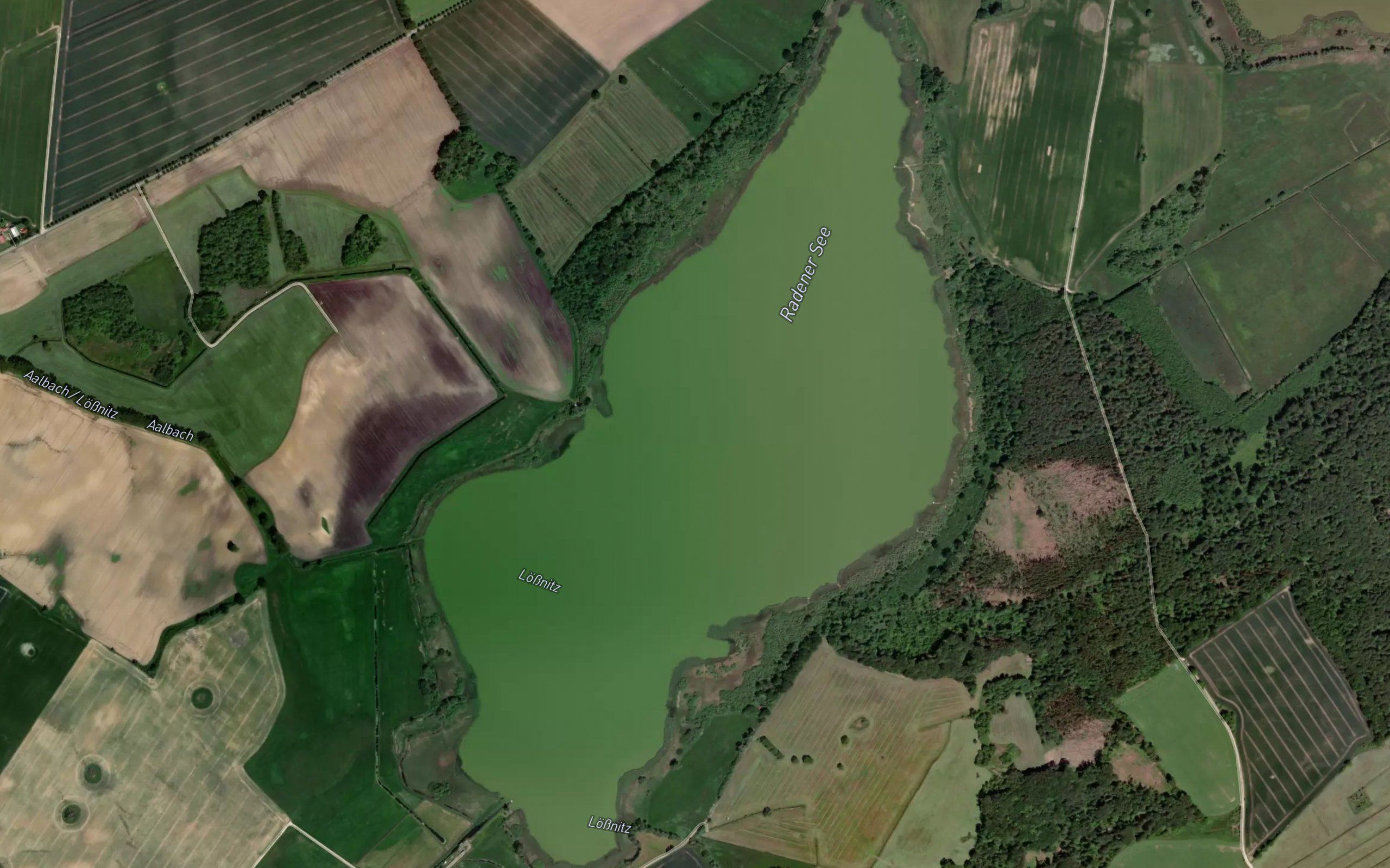 Radener See