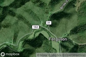 Matty Ferguson Branch