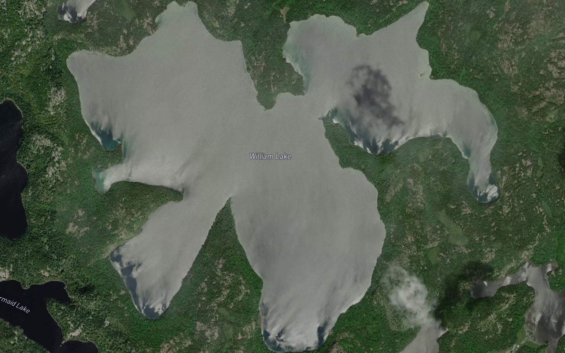 Satellite map of the William Lake