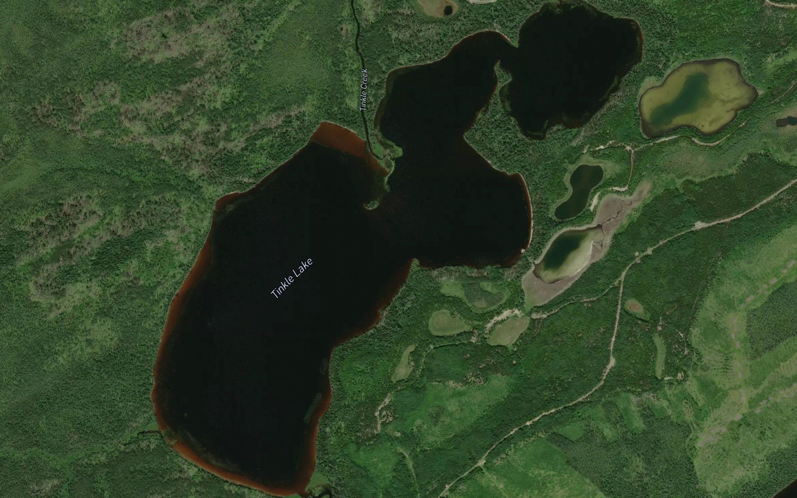 Tinkle Lake