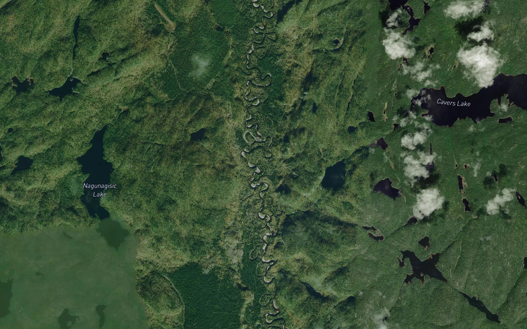 Satellite map of the Cavers Creek