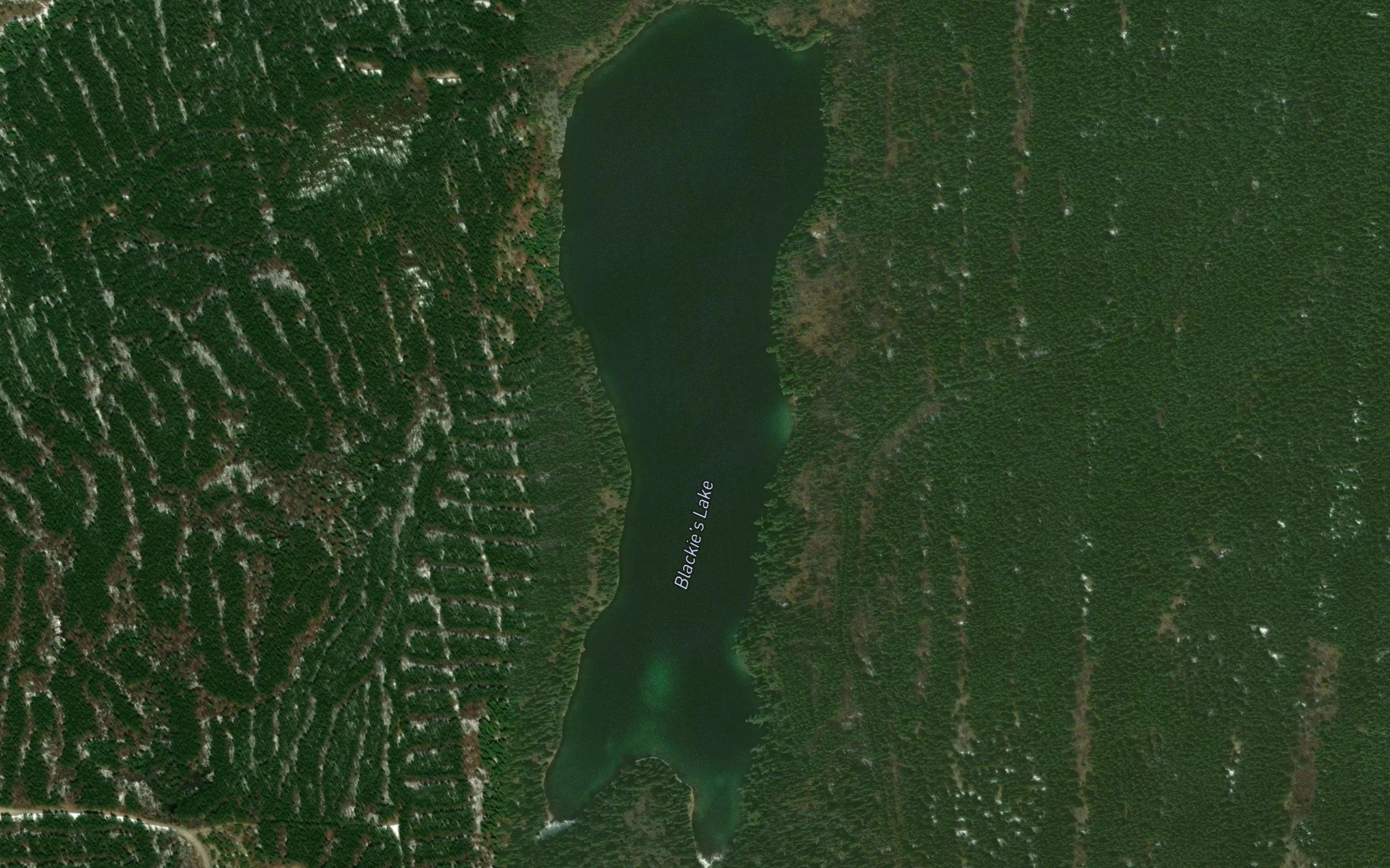 Blackie's Lake
