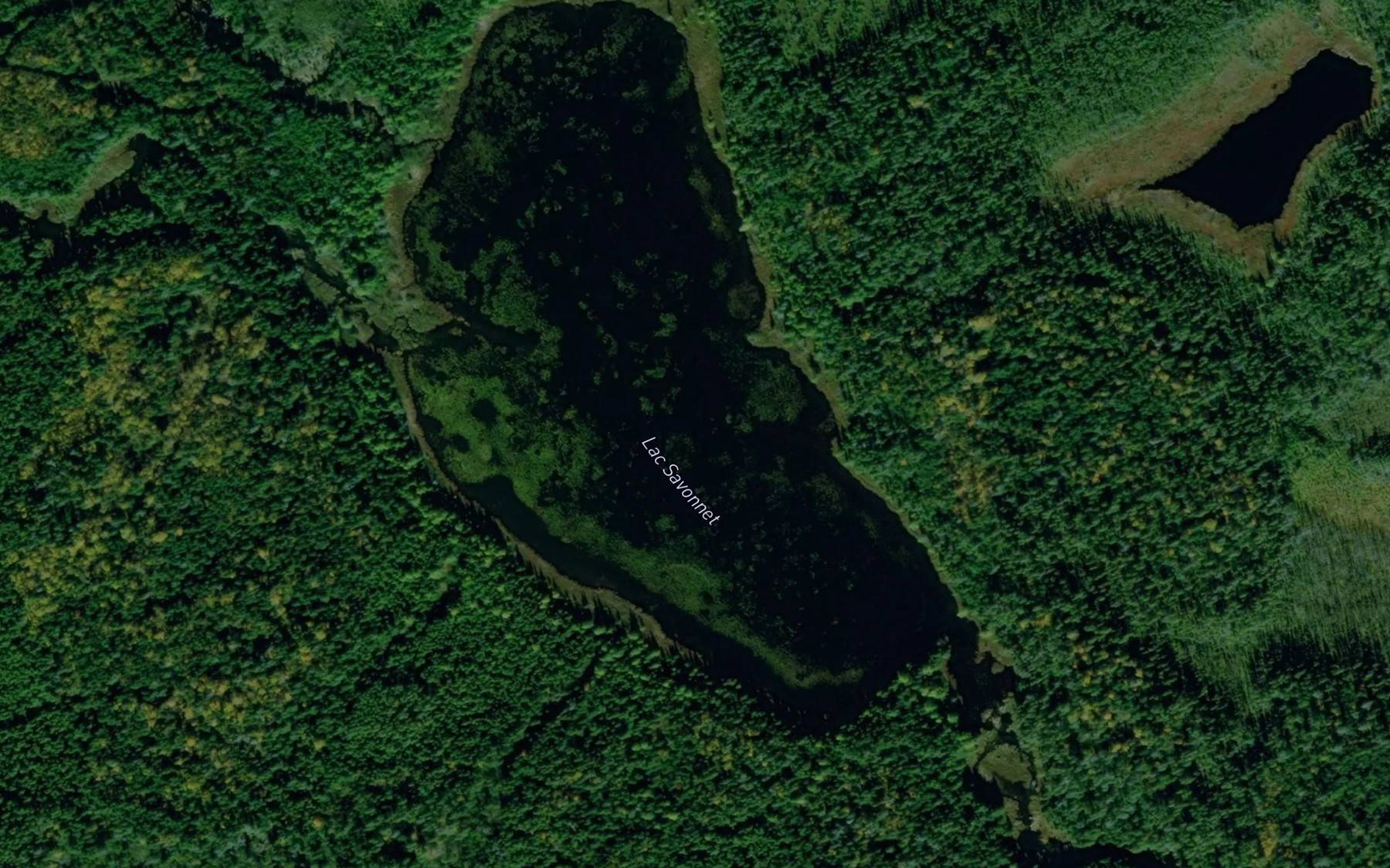 Satellite map of the Lac Savonnet